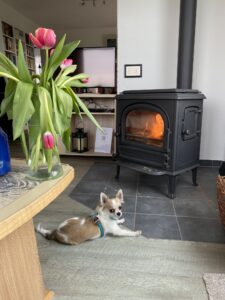 Kamin für kuschelige Winterabende