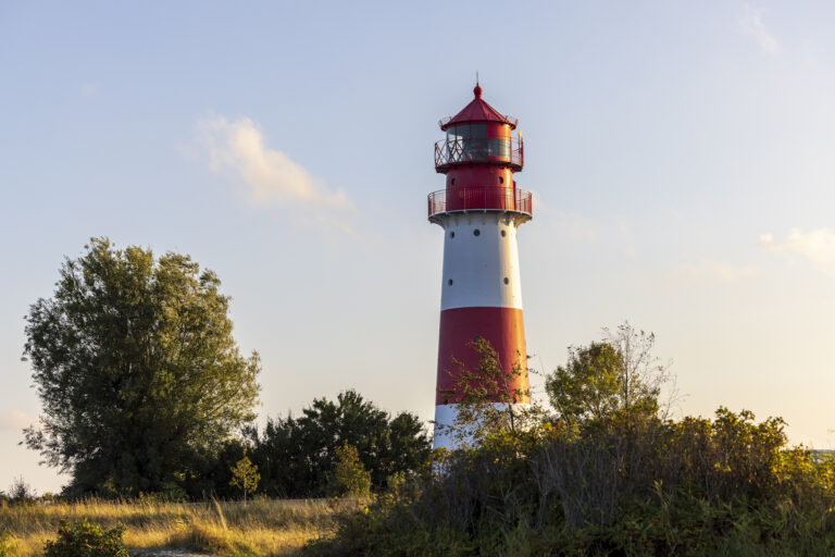_64A4933